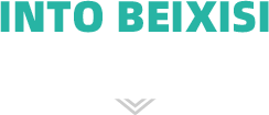 公司介绍